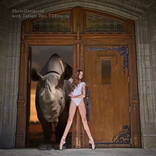 オンラインレッスンのしくじり話