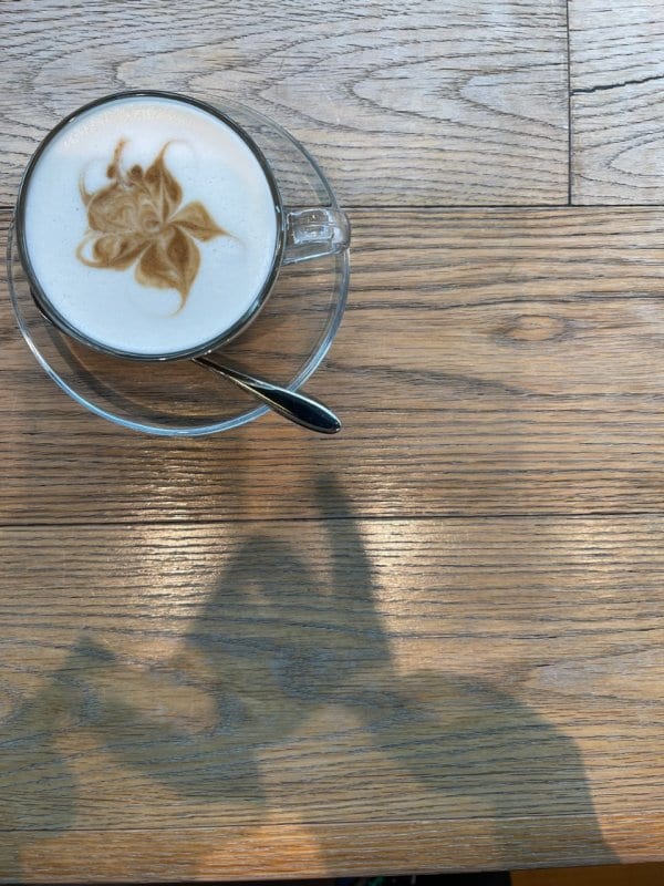 細胞と生理学から学ぶ運動の重要性