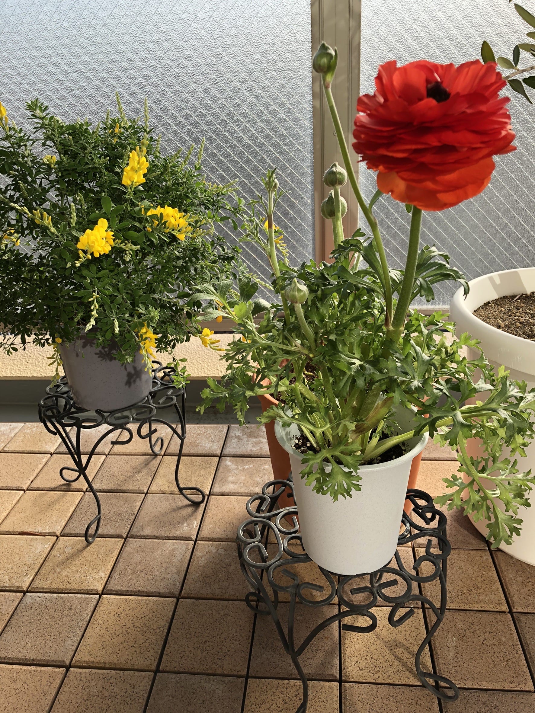 寝違えの対処法